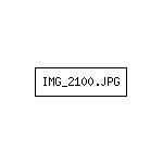 IMG_2100.JPG